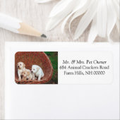 愛らしい子犬の差出人住所メールのラベルシール ラベル (インサイチュ)