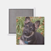 愛らしい子犬の磁石 マグネット (正面/裏面)