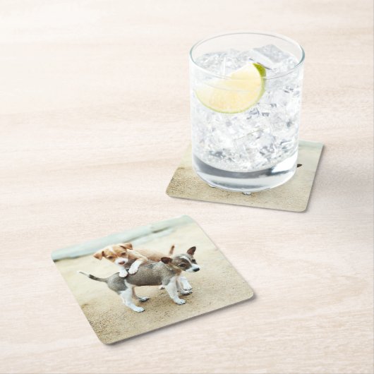愛らしい子犬遊ズオンビーチ スクエアペーパーコースター (インサイチュ)