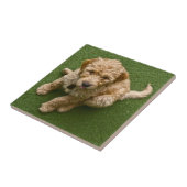 愛らしい子犬 タイル (側面)