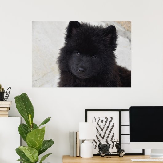 愛らしい子犬 ポスター (ホームオフィス)