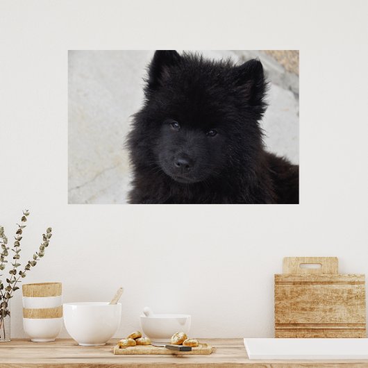 愛らしい子犬 ポスター (キッチン)