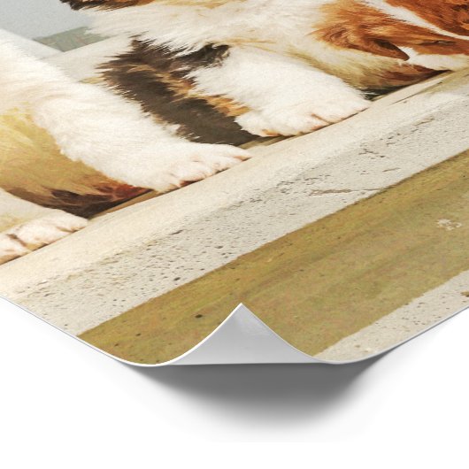 愛らしい子犬 ポスター (角)