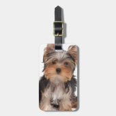 愛らしい子犬 ラゲッジタグ (正面縦)