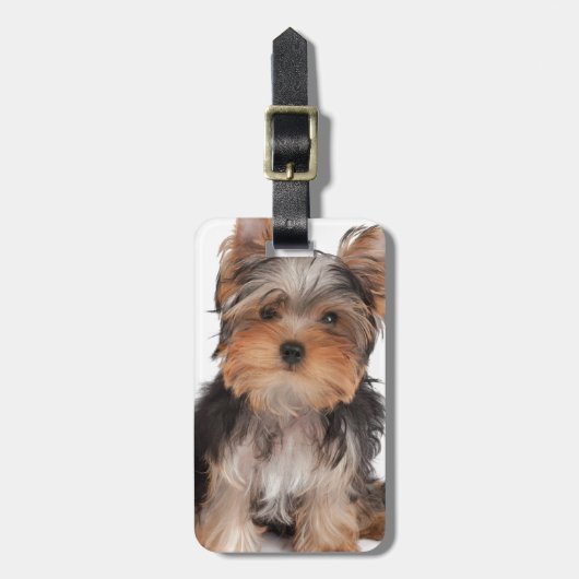 愛らしい子犬 ラゲッジタグ (正面縦)