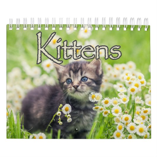 愛らしい子猫と心温まることわざウォール カレンダー (カバー)