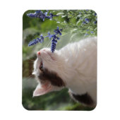 . .愛らしい子猫を庭で マグネット (縦)