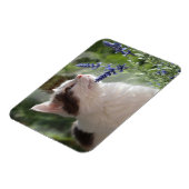 . .愛らしい子猫を庭で マグネット (左側)