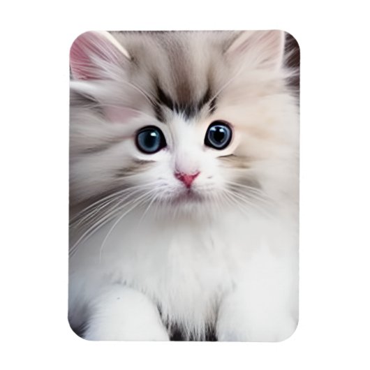 愛らしい子猫 マグネット (縦)