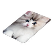 愛らしい子猫 マグネット (左側)