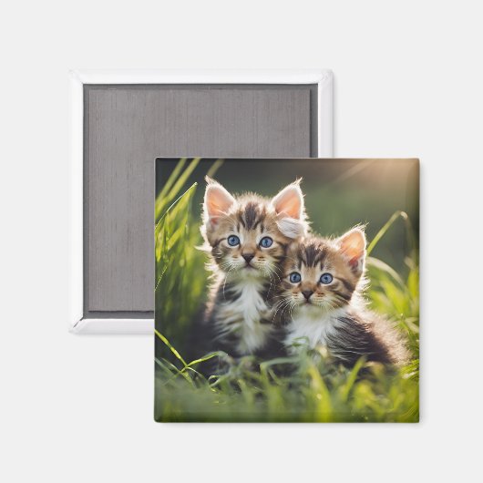 愛らしい子猫 マグネット (正面/裏面)
