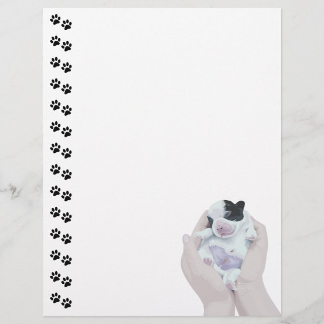 愛らしい小生まれたばかりのさな子犬のレターヘッド (正面)