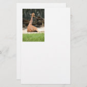 愛らしい座りキリン 便箋 (正面/裏面)