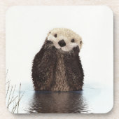 愛らしい微笑みを浮かべる湖 コースター (正面)