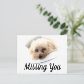 愛らしい恋しく思犬の絵はがき ポストカード (スタンド正面)