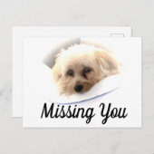 愛らしい恋しく思犬の絵はがき ポストカード (正面/裏面)