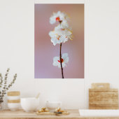 愛らしい日本のアプリコットの花 ポスター (キッチン)