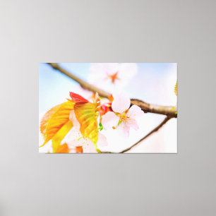 愛らしい春のサクラの花と葉 キャンバスプリント