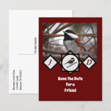 愛らしい栗の裏《鳥》アメリカゴガラモノグラム写真