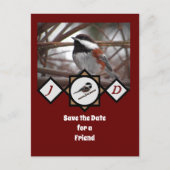 愛らしい栗の裏《鳥》アメリカゴガラモノグラム写真 インビテーションポストカード (正面)