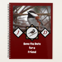 愛らしい栗の裏《鳥》アメリカゴガラモノグラム写真