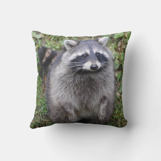 愛らしい毛皮で覆われたアライグマの装飾用クッション クッション (裏面)
