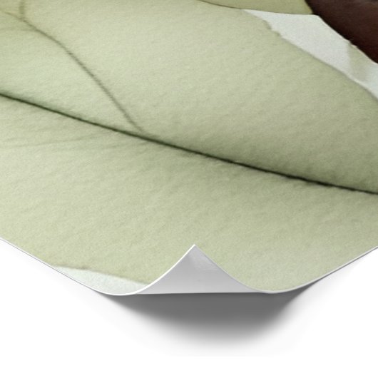 愛らしい水道色 ポスター (角)