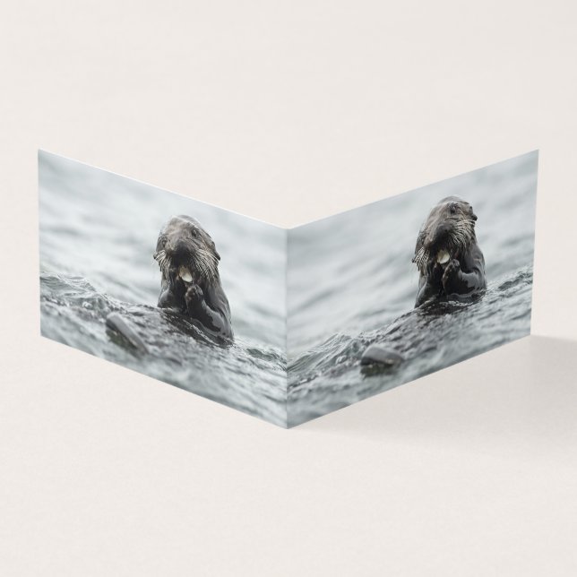 愛らしい海のカワウソ (外部)