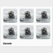 愛らしい海のカワウソ スクエアシール (シート)
