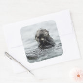 愛らしい海のカワウソ スクエアシール (封筒)