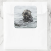 愛らしい海のカワウソ スクエアシール (バッグ)
