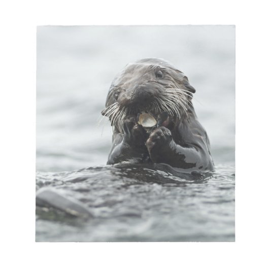 愛らしい海のカワウソ ノートパッド (正面)