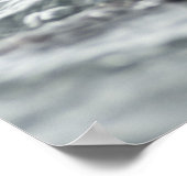 愛らしい海のカワウソ ポスター (角)