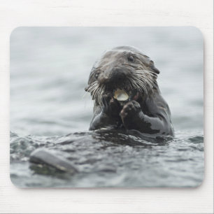 愛らしい海のカワウソ マウスパッド