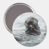 愛らしい海のカワウソ マグネット (正面/裏面)