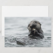 愛らしい海のカワウソ 便箋 (正面/裏面)