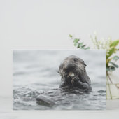 愛らしい海のカワウソ 便箋 (スタンド正面)