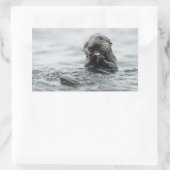 愛らしい海のカワウソ 長方形シール (バッグ)
