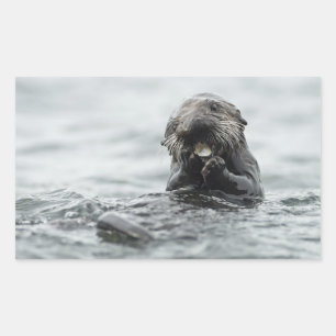 愛らしい海のカワウソ 長方形シール