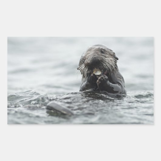 愛らしい海のカワウソ 長方形シール (正面)