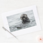 愛らしい海のカワウソ 長方形シール (封筒)