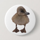 愛らしい灰色の子ガモのクローズアップの写真 缶バッジ (正面)