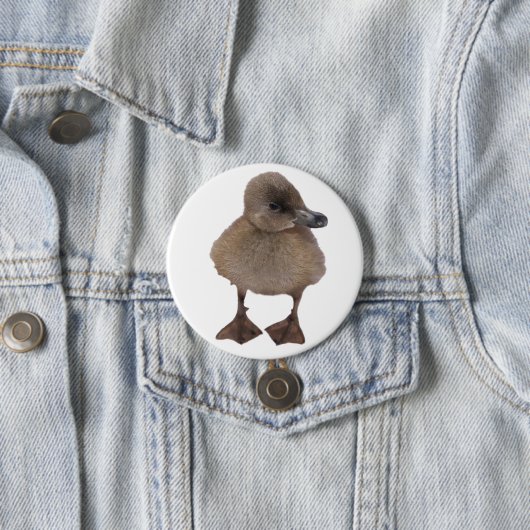 愛らしい灰色の子ガモのクローズアップの写真 缶バッジ (インサイチュ)