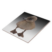 愛らしい灰色の子ガモの写真 タイル (側面)