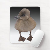愛らしい灰色の子ガモの写真 マウスパッド (マウス)
