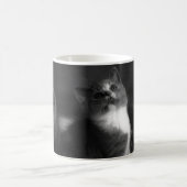 愛らしい灰色の子ネコのポートレート コーヒーマグカップ (中央)