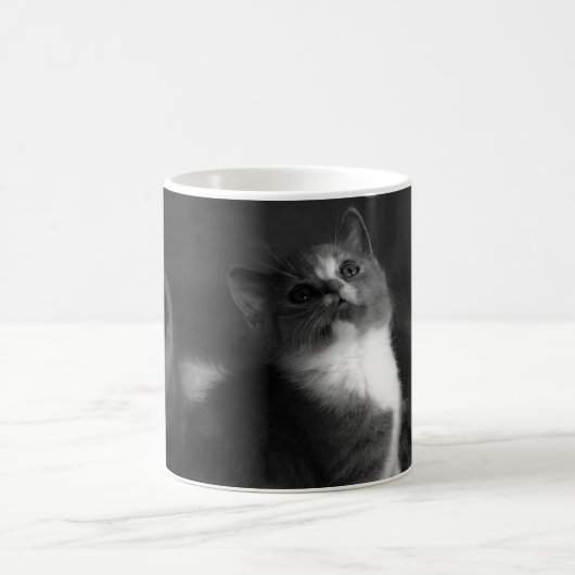 愛らしい灰色の子ネコのポートレート コーヒーマグカップ (中央)