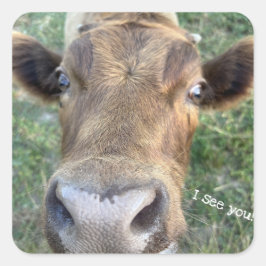 愛らしい牛がノゼイステッカー スクエアシール