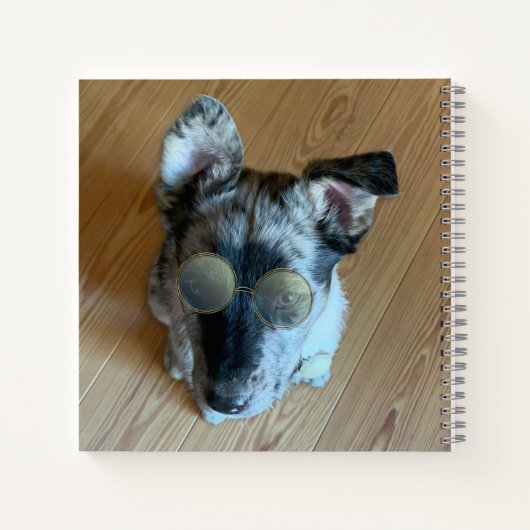 愛らしい牛の犬のプレースホルダ写真カスタム ノートブック (裏面)