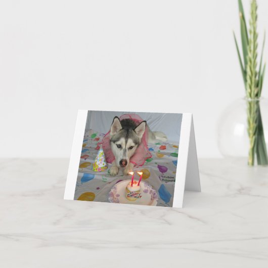 愛らしい犬が登場する誕生日カード カード (正面)